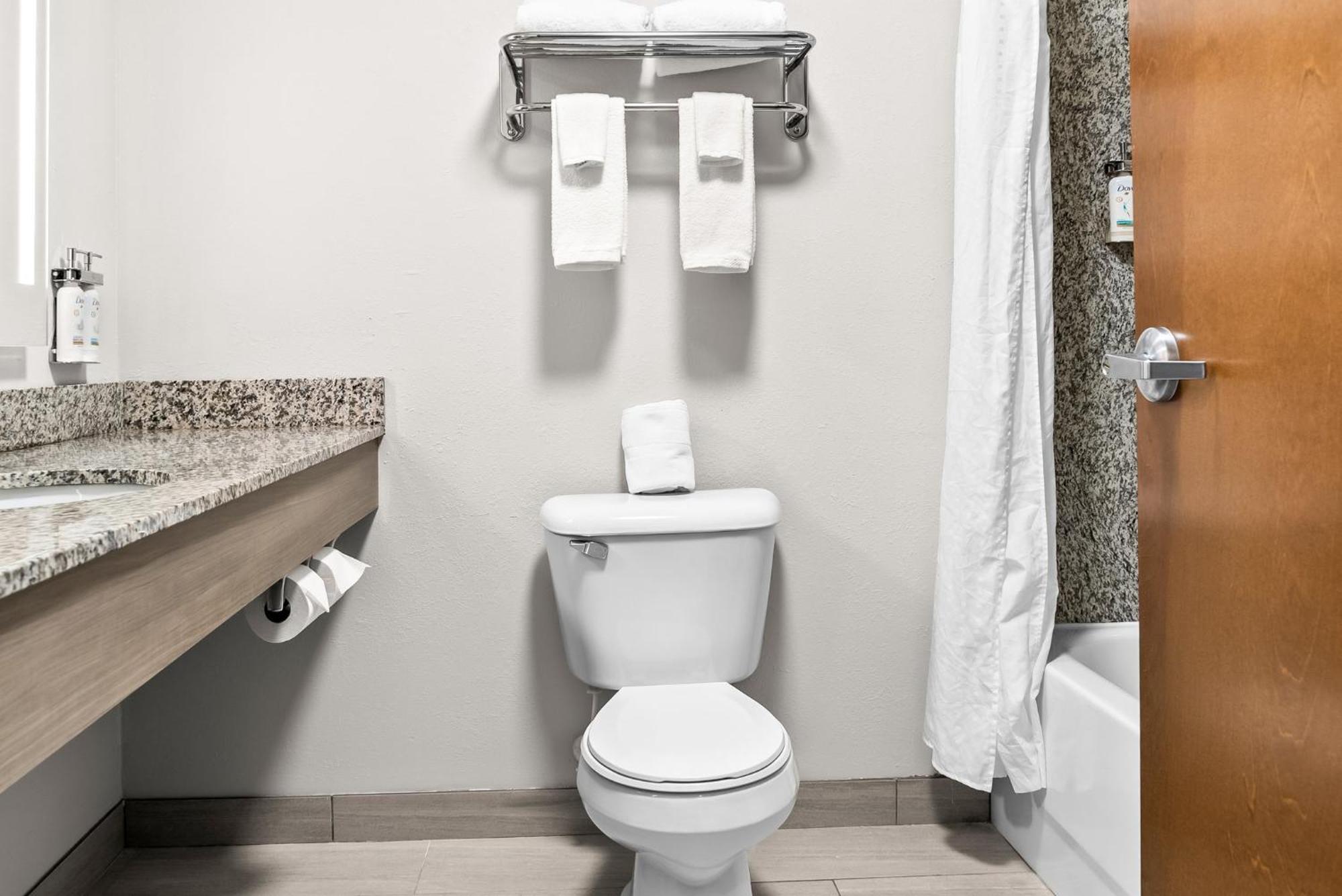 Holiday Inn Express & Suites Detroit - Novi By Ihg Exteriör bild